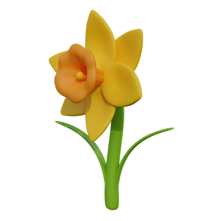 Daffodil  3D Icon