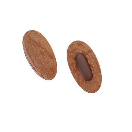 Date Fruit  3D Illustration