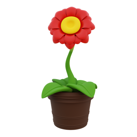 Decorative Plant  3D Icon