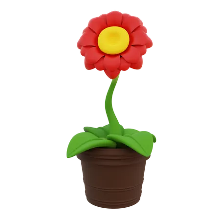 Decorative Plant  3D Icon