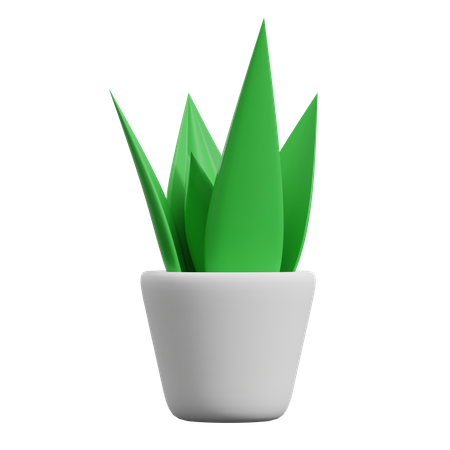 Decorative Plants  3D Icon