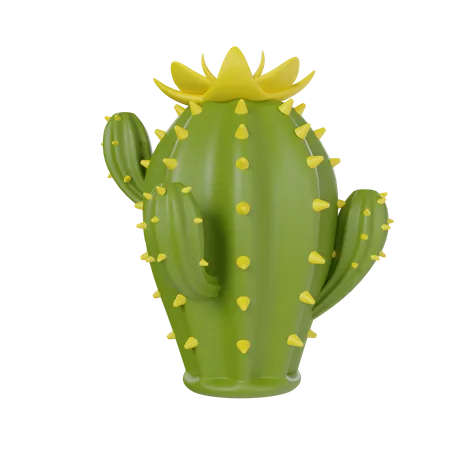 Cactus du désert  3D Icon