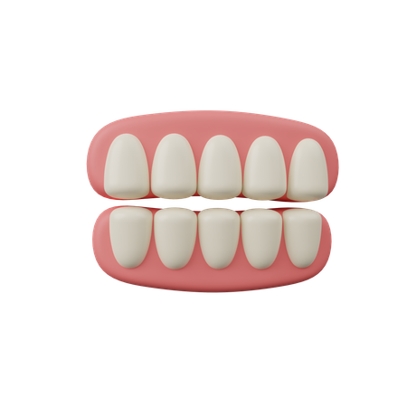 Dientes  3D Icon