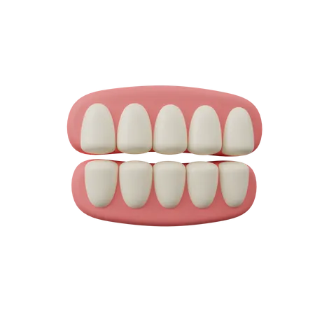 Dientes  3D Icon