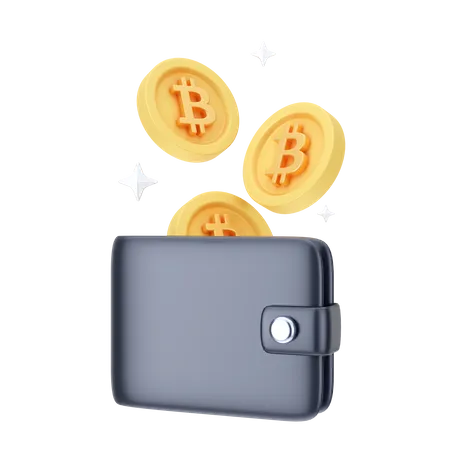 Digital Wallet  3D Icon