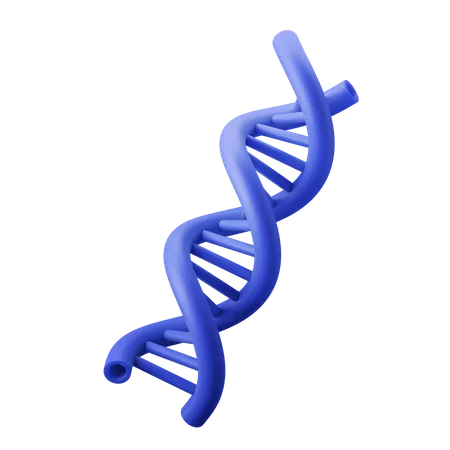 Dna  3D Illustration