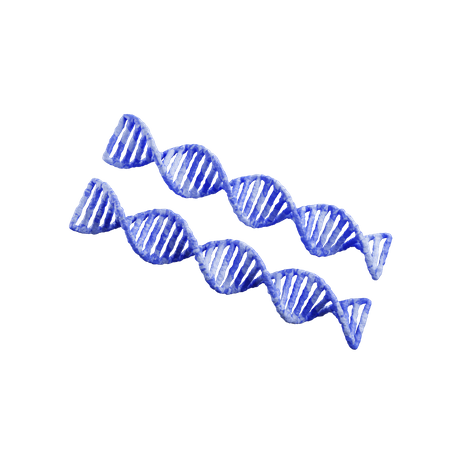 Dna  3D Illustration