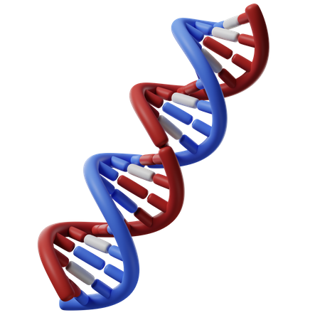 Hélice de DNA  3D Icon