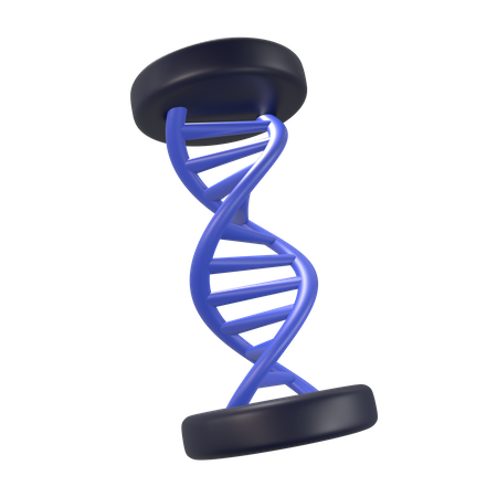 Hélice de DNA  3D Icon