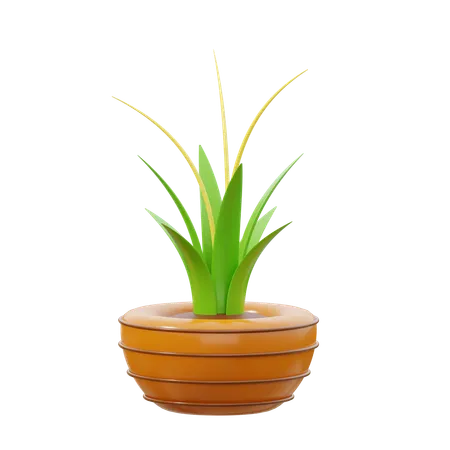 Dragon Plants  3D Icon