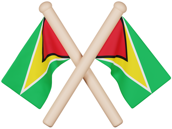 Drapeau de la Guyane  3D Icon