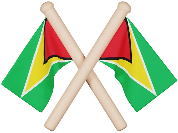 Drapeau de la Guyane  3D Icon