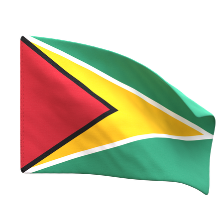 Drapeau de la Guyane  3D Icon