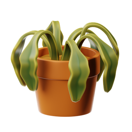 Dry Plants  3D Icon