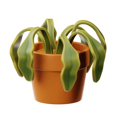 Dry Plants  3D Icon