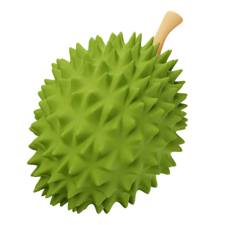 Durian  3D Icon