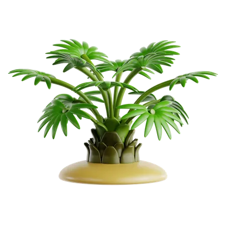 Dwarf Palmetto  3D Icon