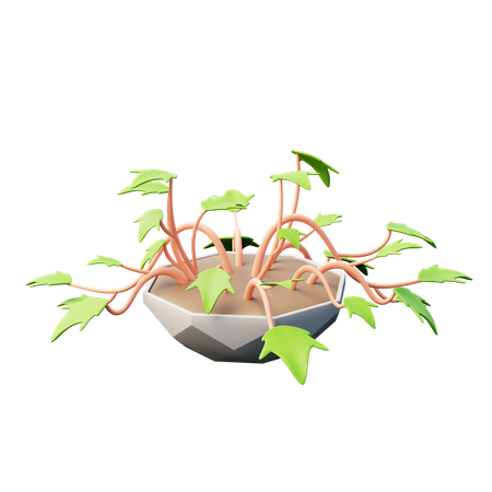 English Ivy Plant  3D Icon