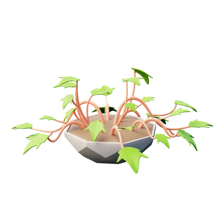 English Ivy Plant  3D Icon