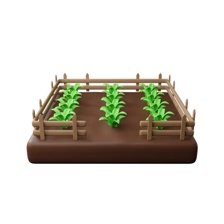 Farm fields  3D Icon