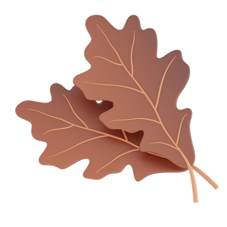 Feuille  3D Icon