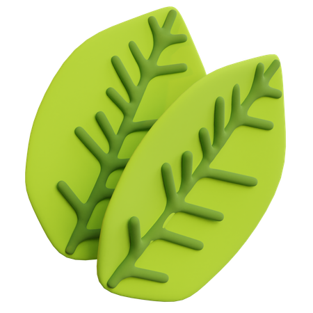 Feuille  3D Icon