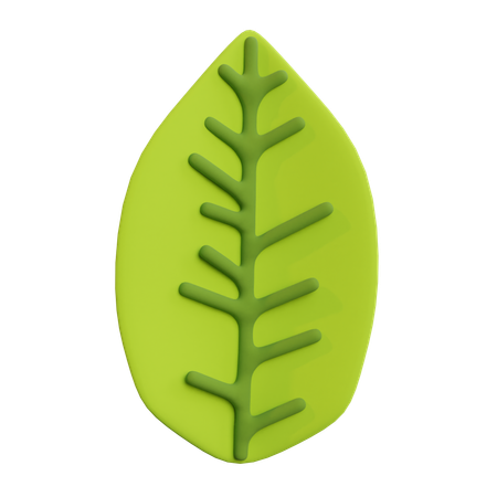 Feuille  3D Icon