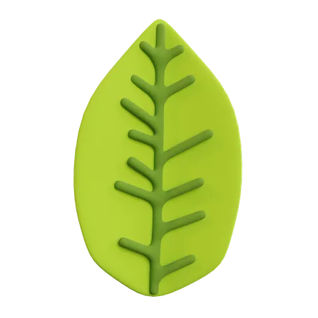 Feuille  3D Icon