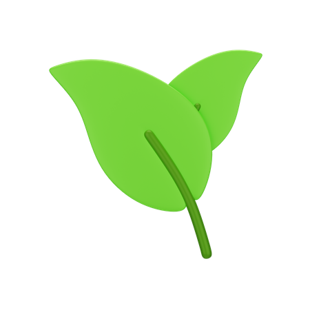 Feuille  3D Icon