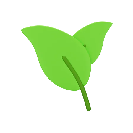 Feuille  3D Icon