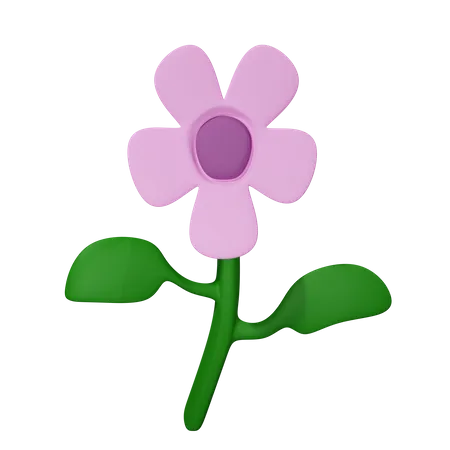 Flor  3D Icon