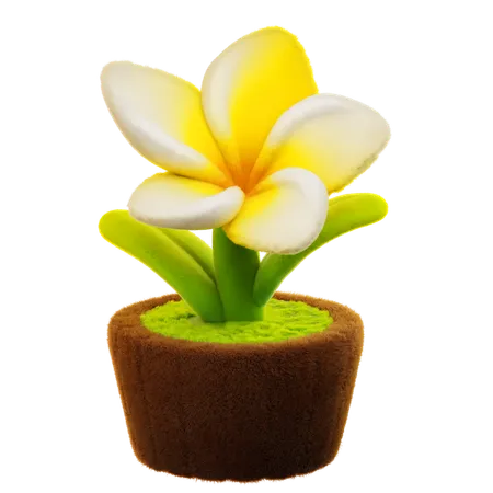 Flor de frangipani  3D Icon