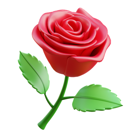 Flor rosa  3D Icon