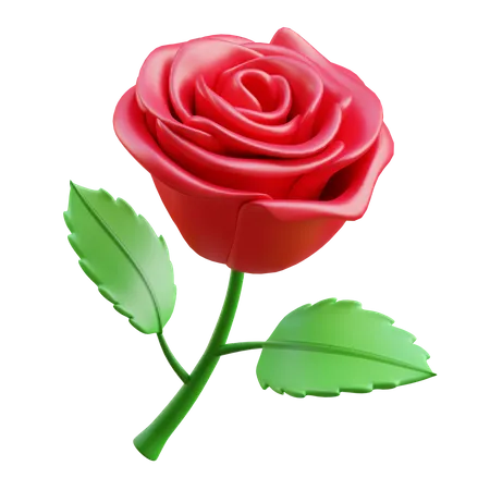 Flor rosa  3D Icon