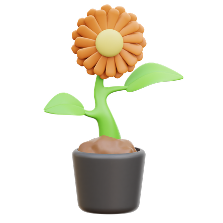 Flower  3D Icon