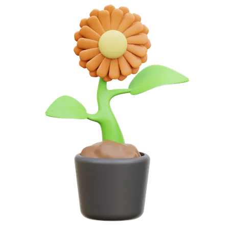 Flower  3D Icon