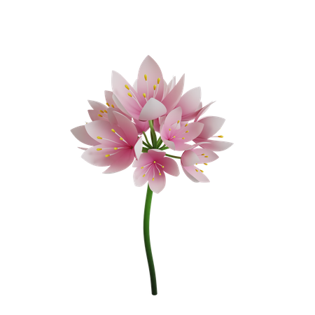 Flower  3D Icon