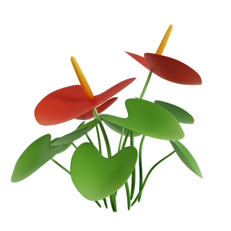 Flower  3D Icon