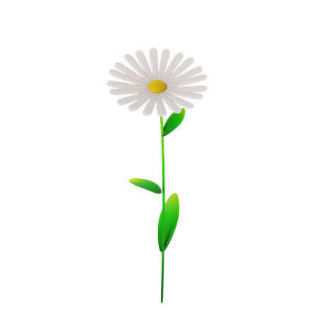 Flower  3D Icon