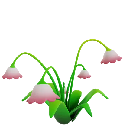 Flower  3D Icon