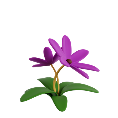 Flower  3D Icon