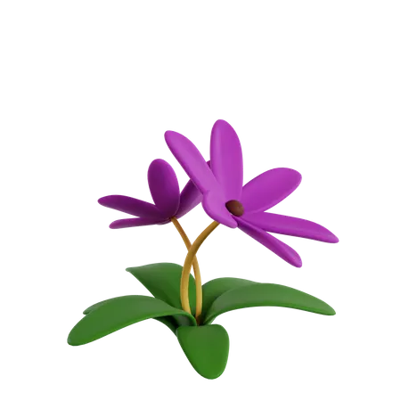 Flower  3D Icon