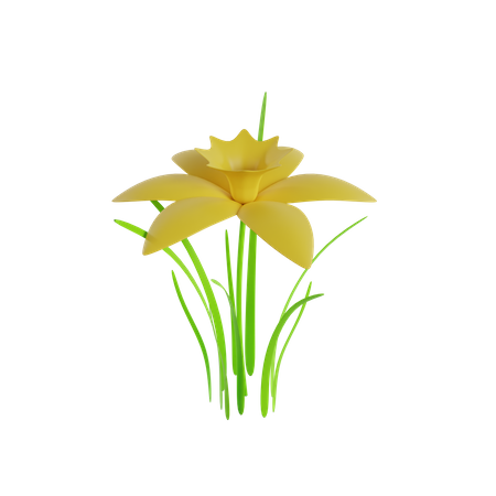 Flower  3D Icon