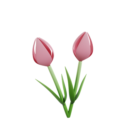 Flower  3D Icon