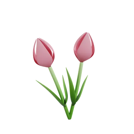 Flower  3D Icon