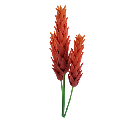 Flower  3D Icon