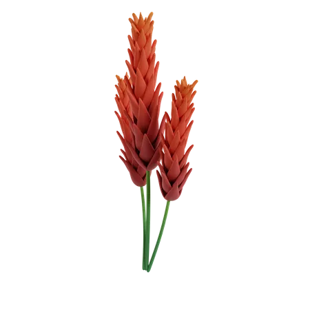 Flower  3D Icon