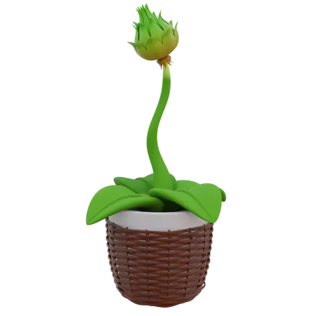 Flower Kuncup Pot  3D Icon