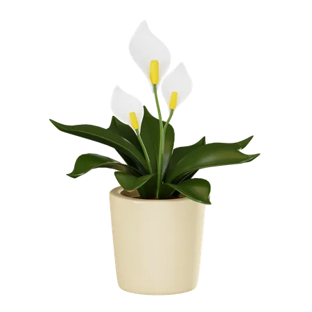 Flower Plant Pot  3D Icon