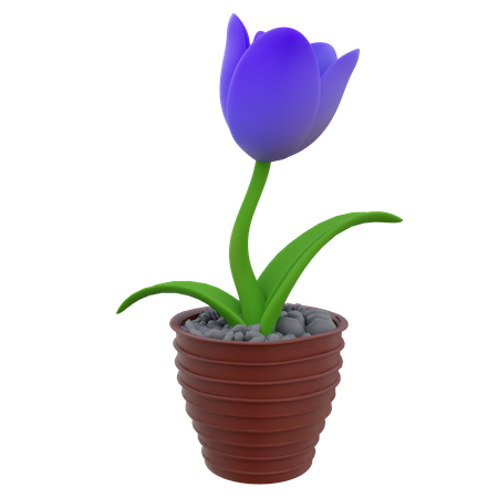 Flower Pot  3D Icon